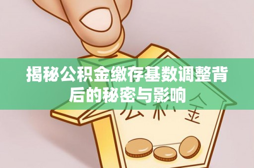 德庆揭秘公积金缴存基数调整背后的秘密与影响