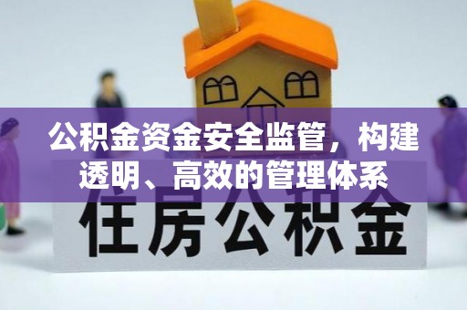 德庆公积金资金安全监管，构建透明、高效的管理体系