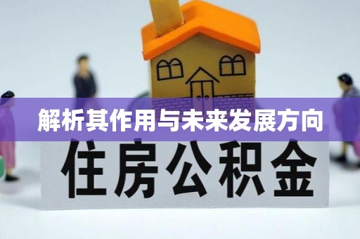 德庆解析其作用与未来发展方向