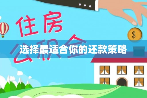 德庆选择最适合你的还款策略